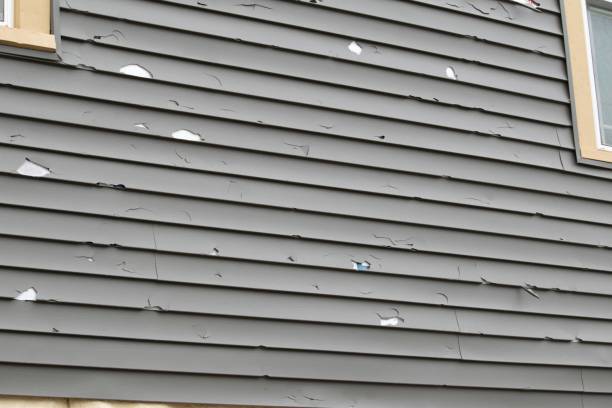 How To Choose The Right Materials for Your Siding Installation in 'Lazy Mountain, AK